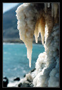 Dead sea.