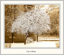 City in Winter
