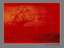Rot-Front