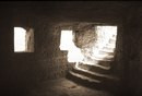 cellar