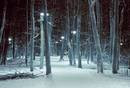 park