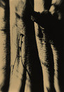   (R170-30)