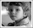 POLLY