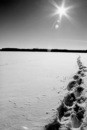 Le chemin vers le soleil