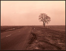 Loneliness