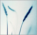 S0001[]
