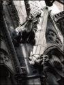 Notre Dame   