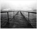 Hydrophobia