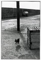 Elliott Erwitt. Ireland. 1968