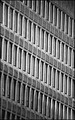 Raynox -  