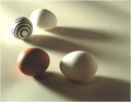 Raynox -  