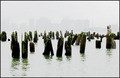 Hudson-river