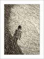 The Girl