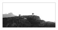   (VII): -