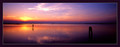 Early reflections