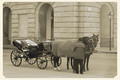 La nostalgie