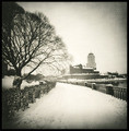 Vyborg. Tree & castle
