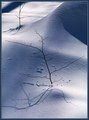 HorseShoe Valley (7)