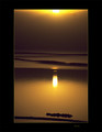 Dead Sea 7.00
