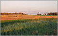 County of Peterborough (1) 2004
