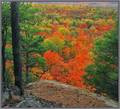 Algonquin park (7)