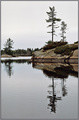 Grundy Lake (1)