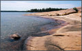 KillBear PP