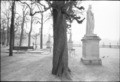 jardin du Luxembourg