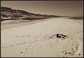 Solitude #1