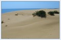 Desert