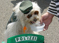 Polizei