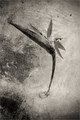 strange flower-2