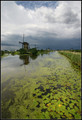 Kinderdijk (3)