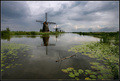 Kinderdijk (2)