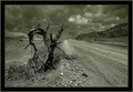 Desert Road #2