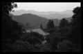 Temple in the forest. Japan.