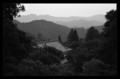 Temple in the forest. Japan.