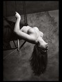 Lesnica 21