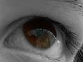 Eye