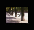 Un Parc