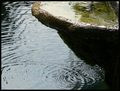 Wave`s life moment