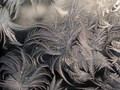   (3)