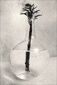 strange flower-3