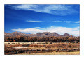 Bosque Del Apache