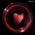 heart not like a stone