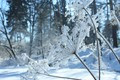 Vapour action. 2