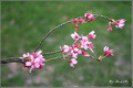 And it feels like spring...
