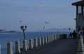 Moda-port