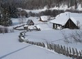      (4)