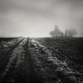 a road, a mist & cemetery